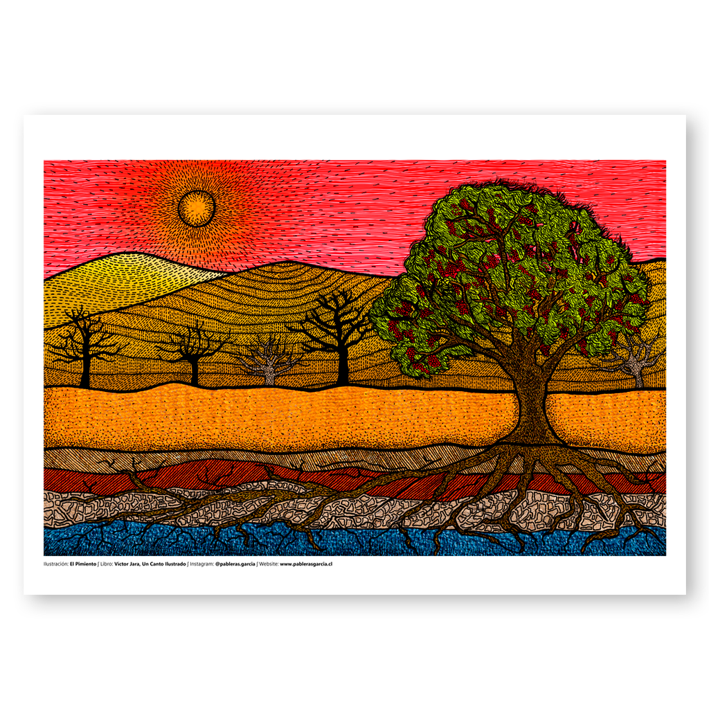 Pack de El Canto Ilustrado