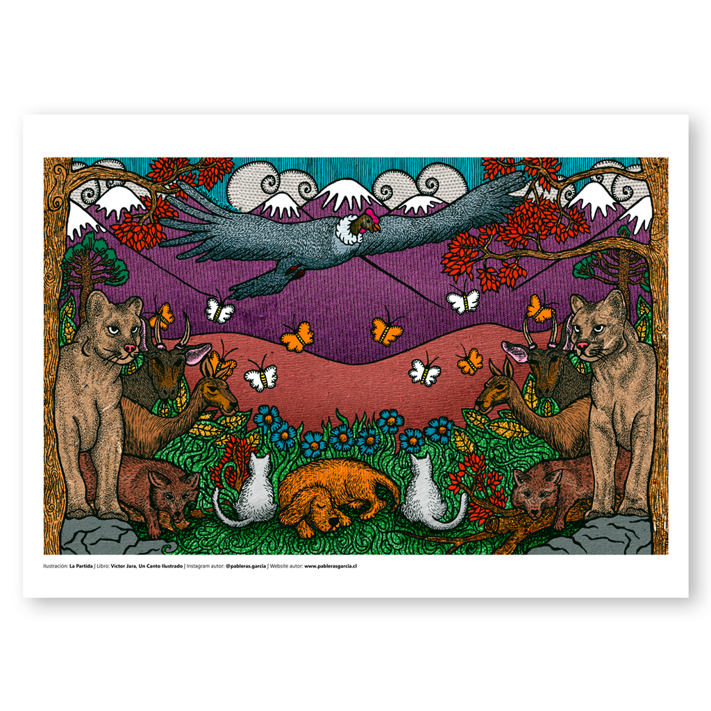 Pack Canto Ilustrado, 4