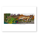 Fauna y naturaleza