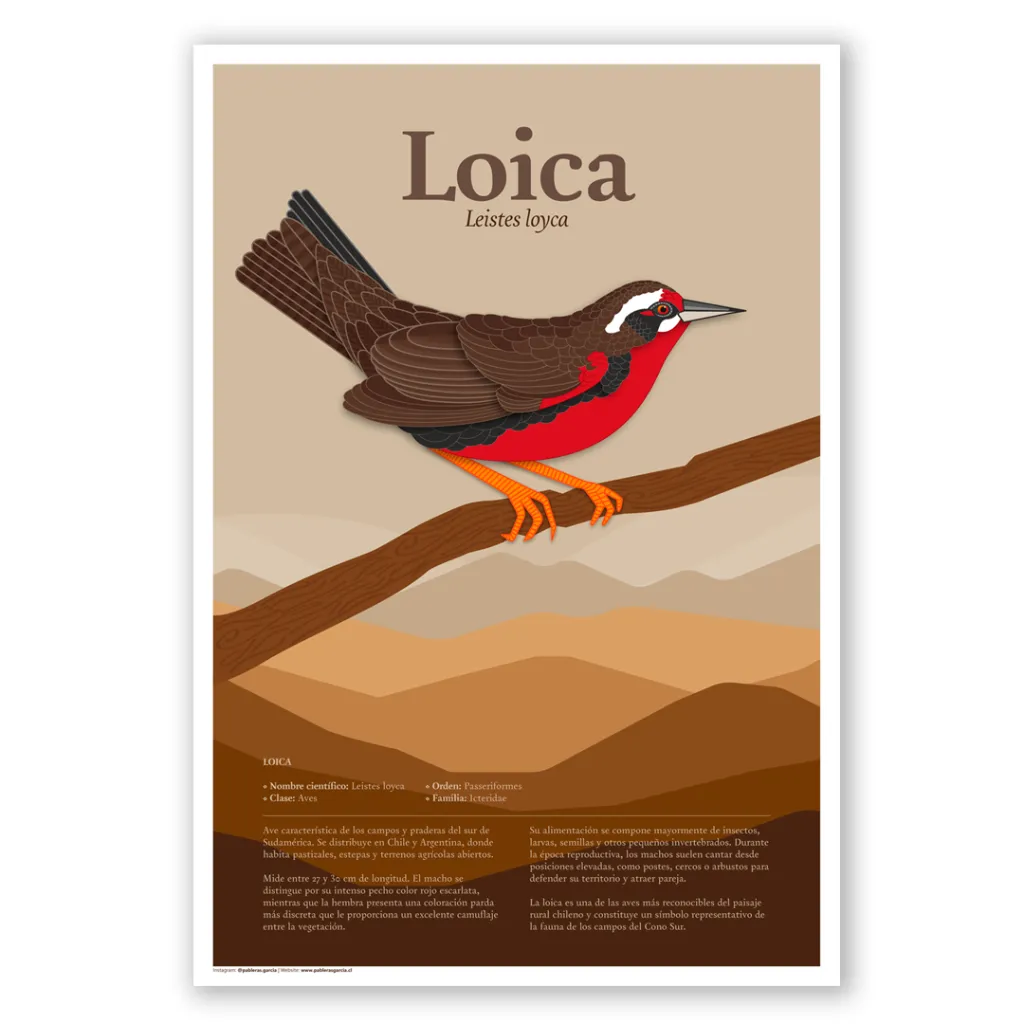 Posters_prints_1080x1080px_05.webp