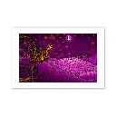 FineArt_prints_1080x1080px_12.webp