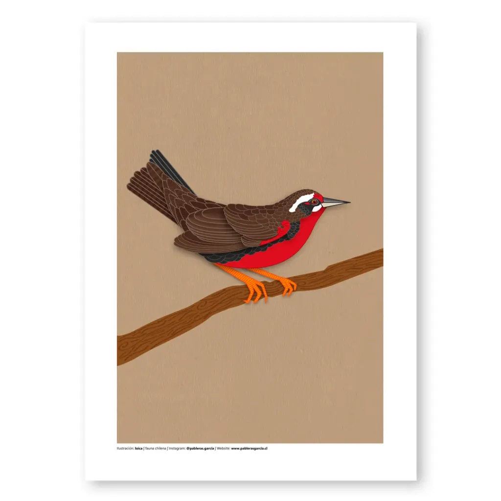 Fauna y naturaleza, varias láminas